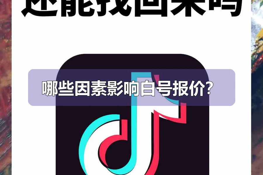 哪些因素影响白号报价？