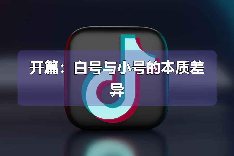 开篇:白号与小号的本质差异