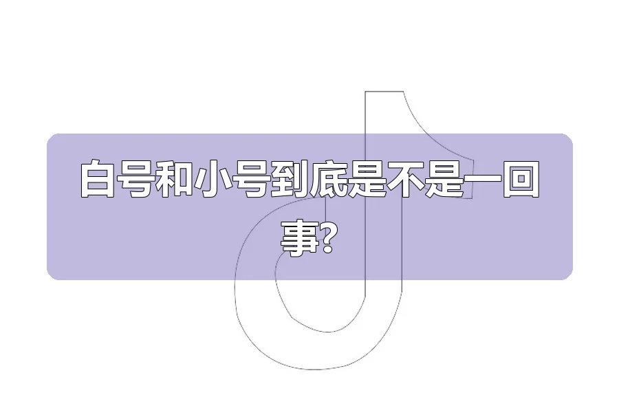 白号和小号到底是不是一回事?