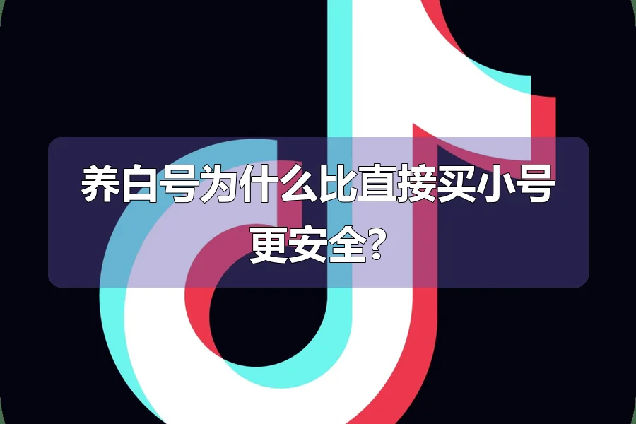 养白号为什么比直接买小号更安全?